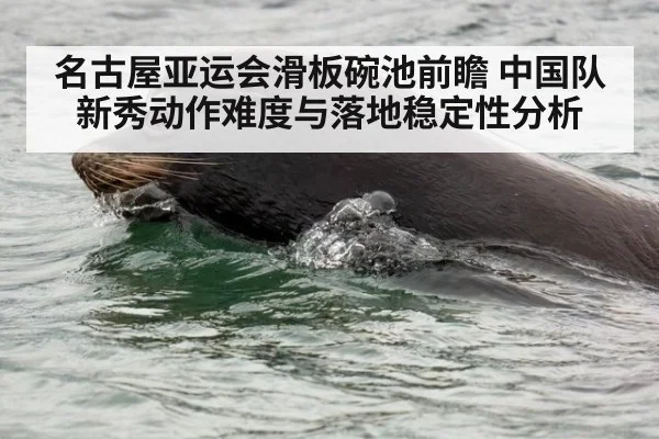 名古屋亚运会滑板碗池前瞻 中国队新秀动作难度与落地稳定性分析